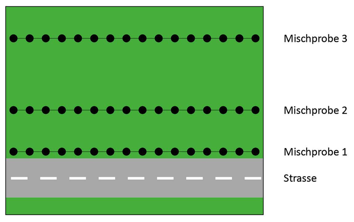 Das Bild veranschaulicht die Beprobung auf Linien parallel zur Strasse