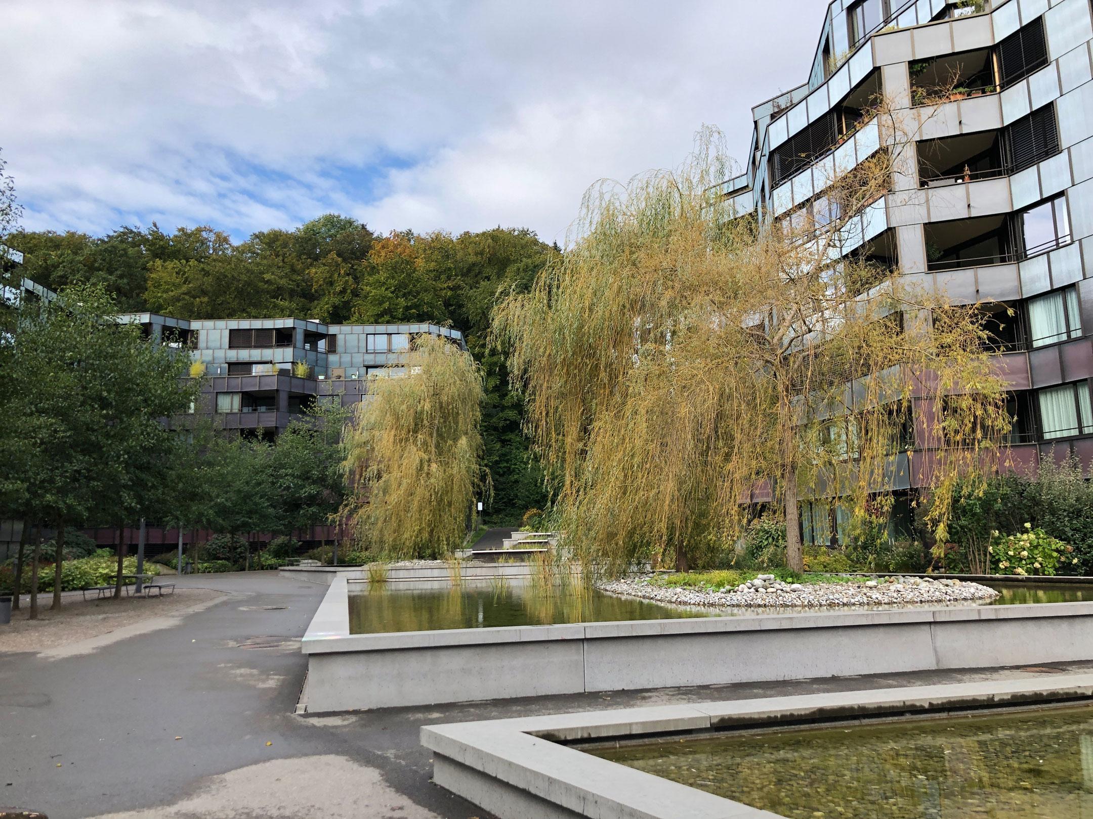 Das Foto zeigt den Aussenraum der Wohnüberbauung Guggach in Zürich. Zwischen den mehrstöckigen Mehrfamilienhäusern hat es grosse Wasserbecken die mit grossen Bäumen und Schilf bepflanzt sind.