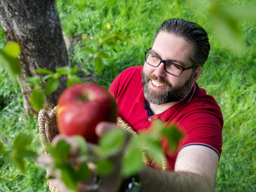 Mitarbeiter in der Freizeit steht unter einem Baum und pflückt auf grüner Wiese einen roten Apfel.