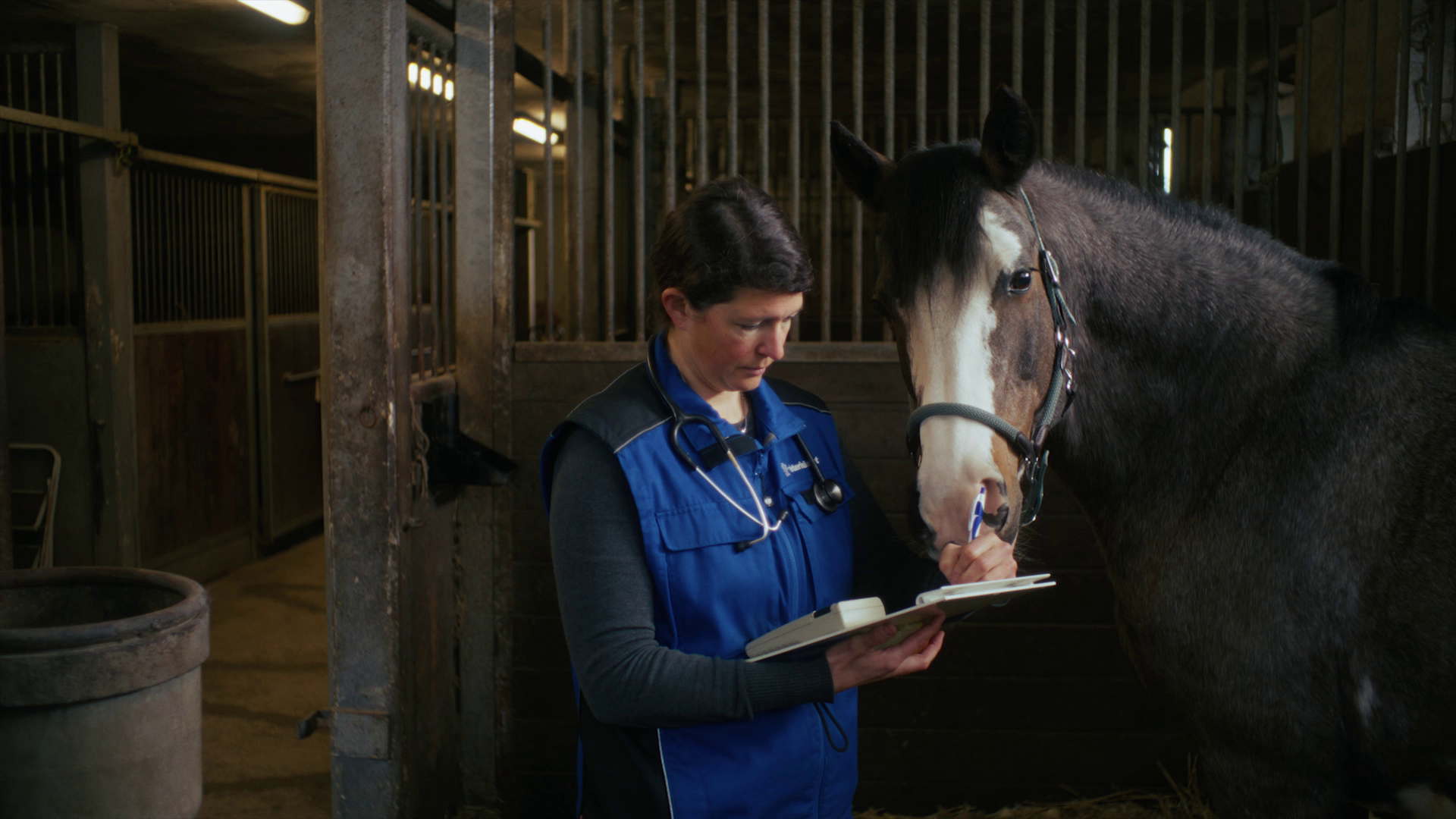 Amtliche Tierärztin im Stall mit Klemmbrett in den Händen und Pferd im Hintergrund trägt Daten in Protokoll ein.