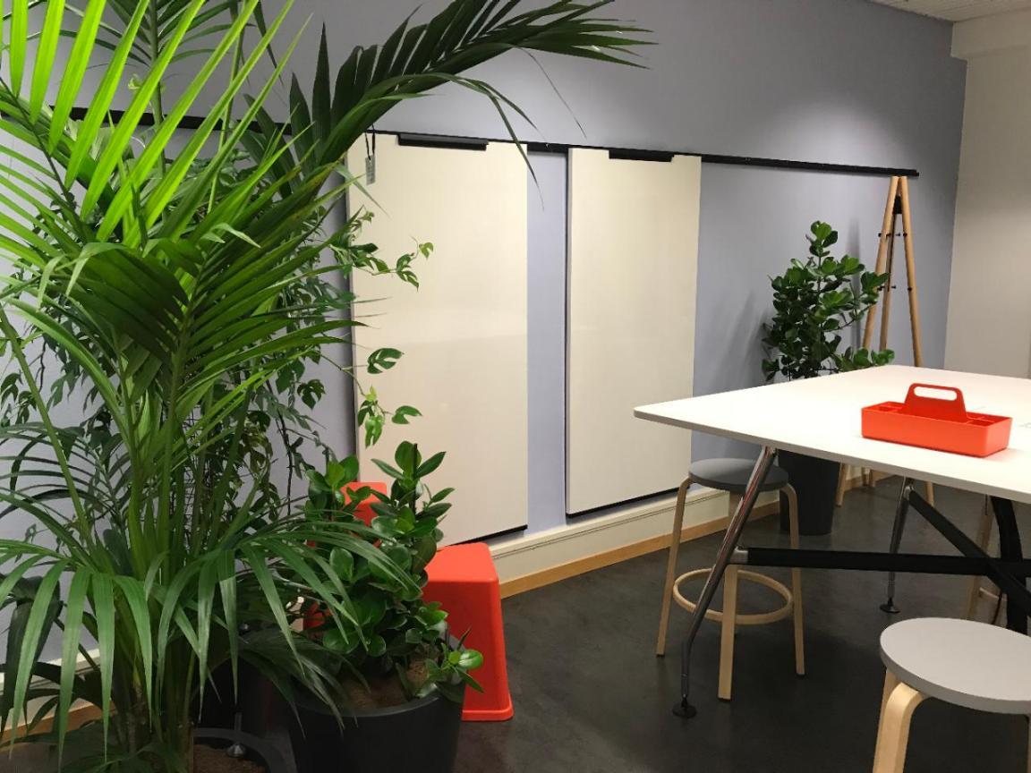Ein Raum für Meetings mit Pflanzen