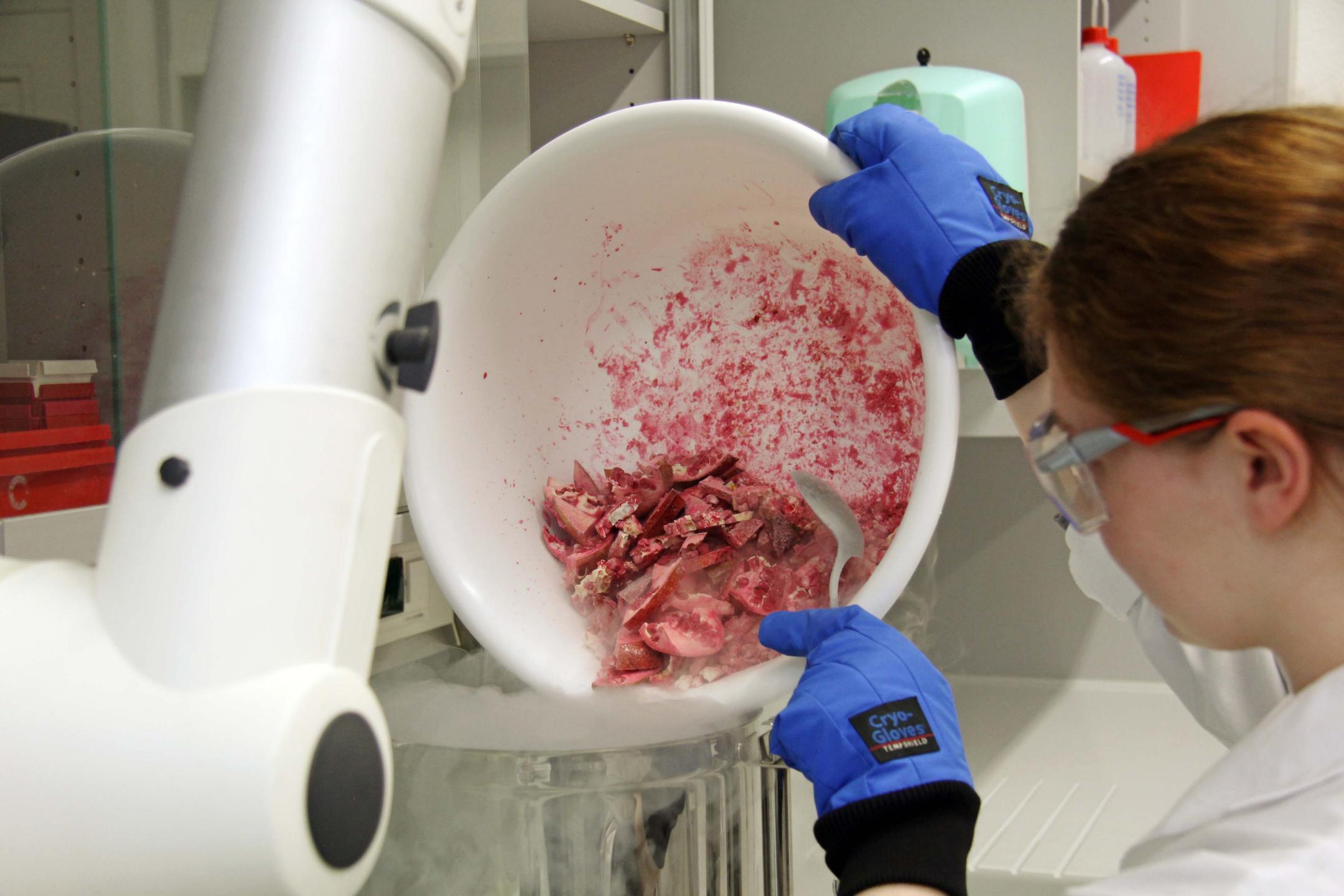 Probenvorbereitung mit Vermahlung mit Flüssigstickstoff