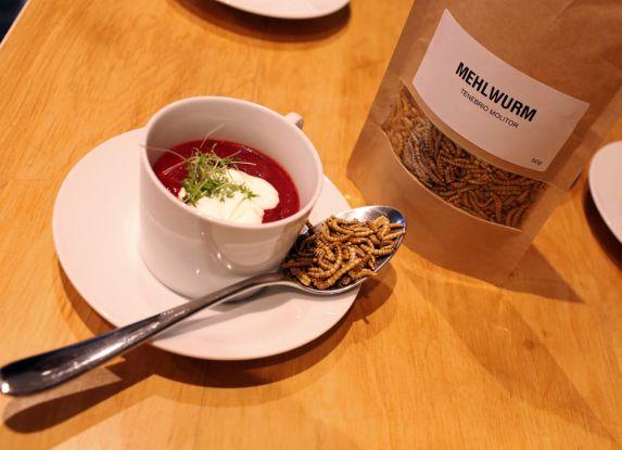 Mehlwurm und Insekten als Menübestandteil.