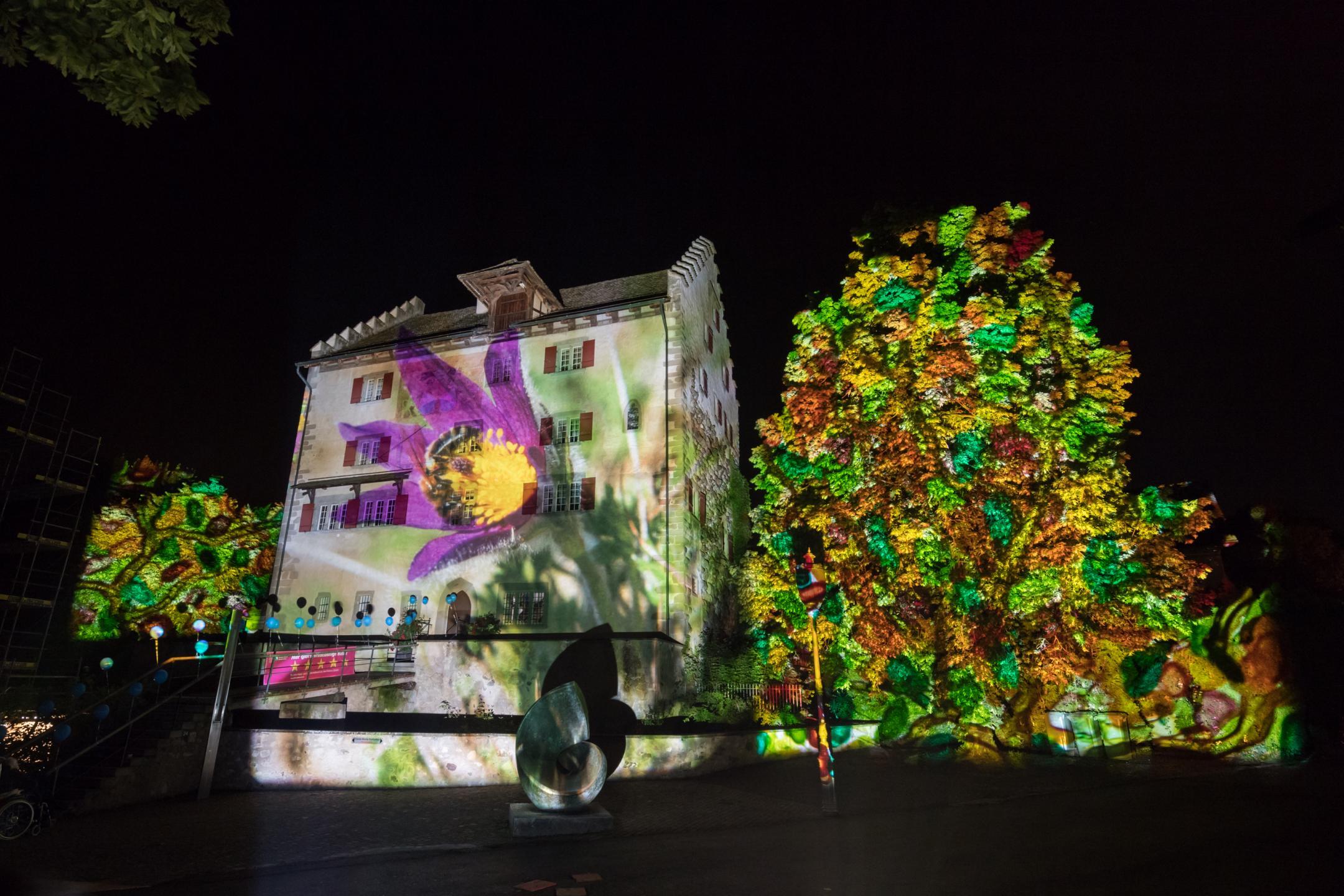 Lichtprojektktion «Küchenschelle»: Ein Bild der Lichtshow von Gerry Hofstetter.