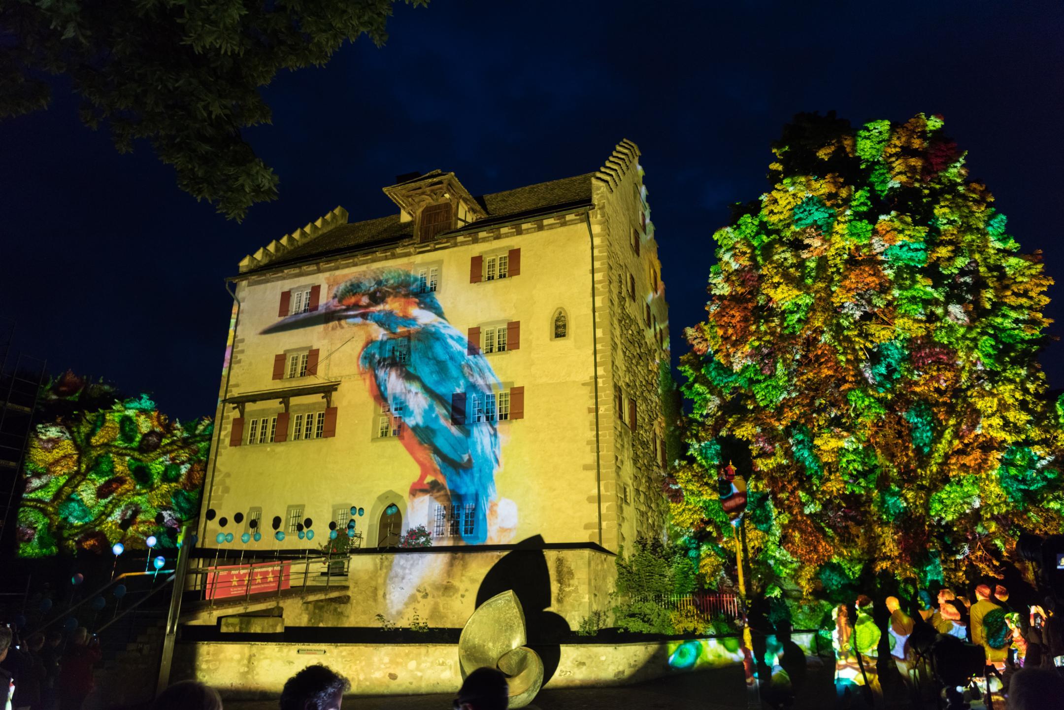Lichtprojektion «Eisvogel»: Ein Bild der Lichtshow von Gerry Hofstetter.