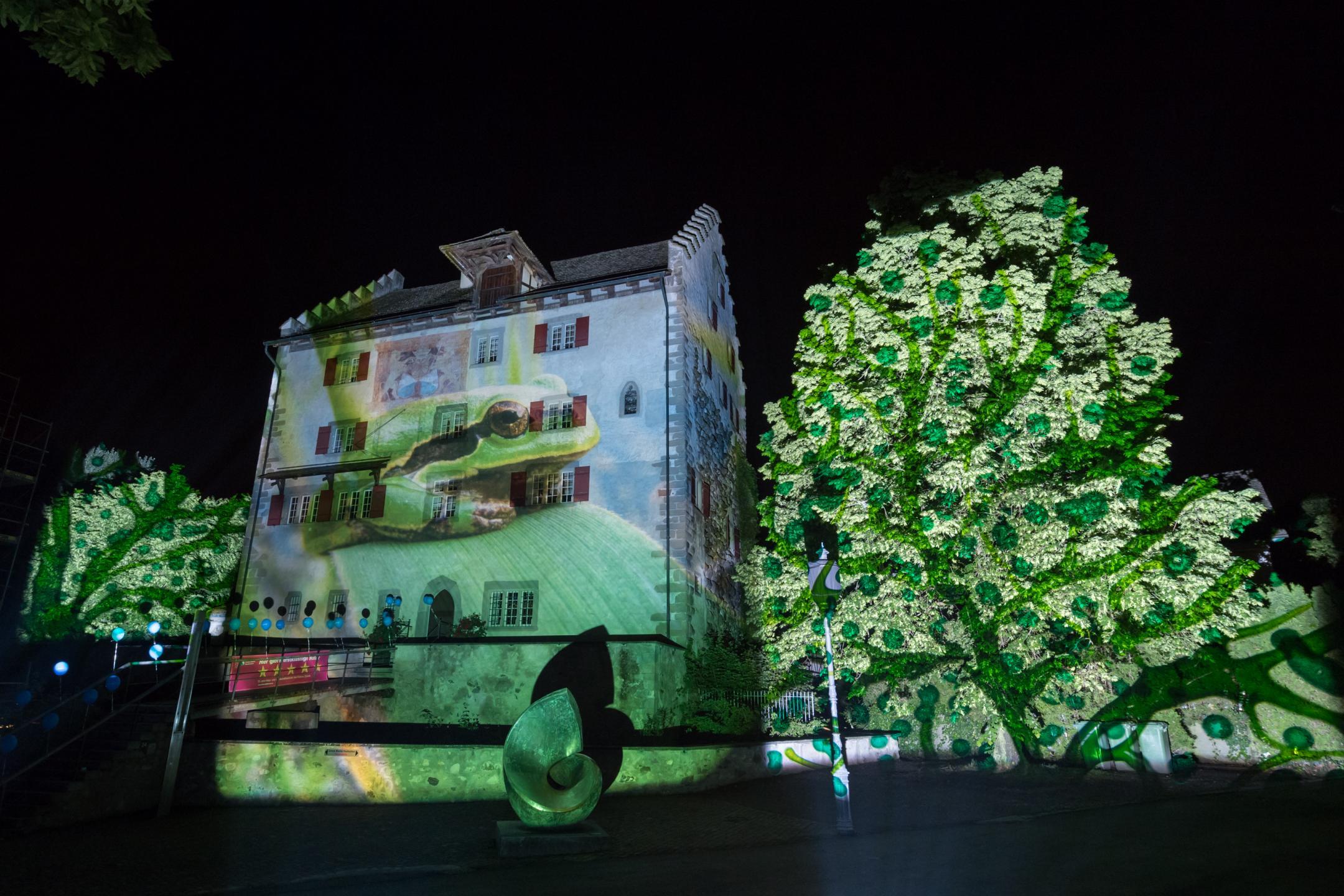Lichtprojektion «Laubfrosch» an die Fassade des Schloss Greifensee: Ein Bild der Lichtshow von Gerry Hofstetter.