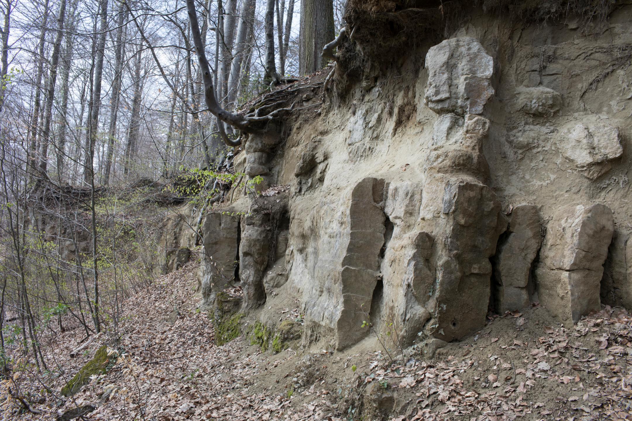 Loorenkopf in Hottingen: Repräsentative Sandsteinbauten.