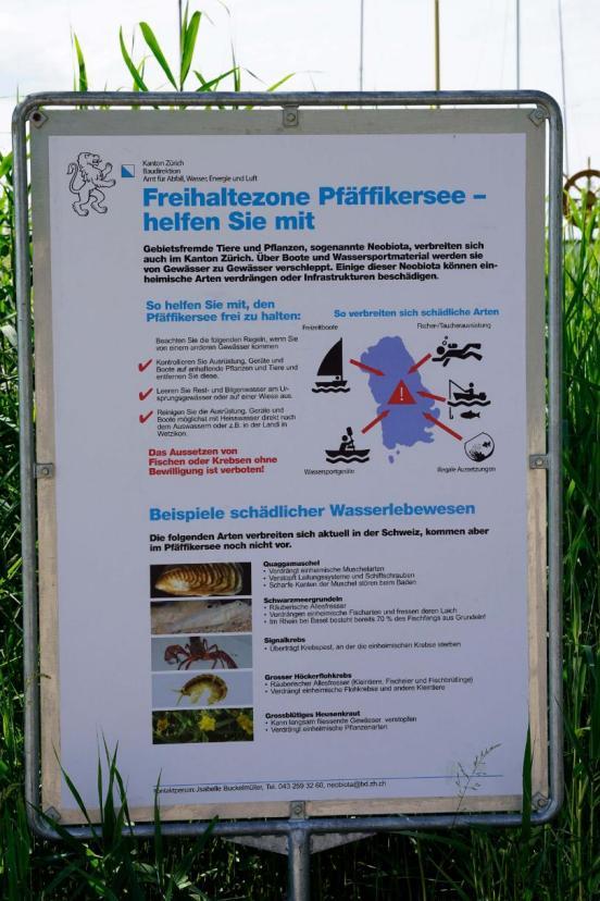  Infoplakat Neobiota-Freihaltezone Pfäffikersee.