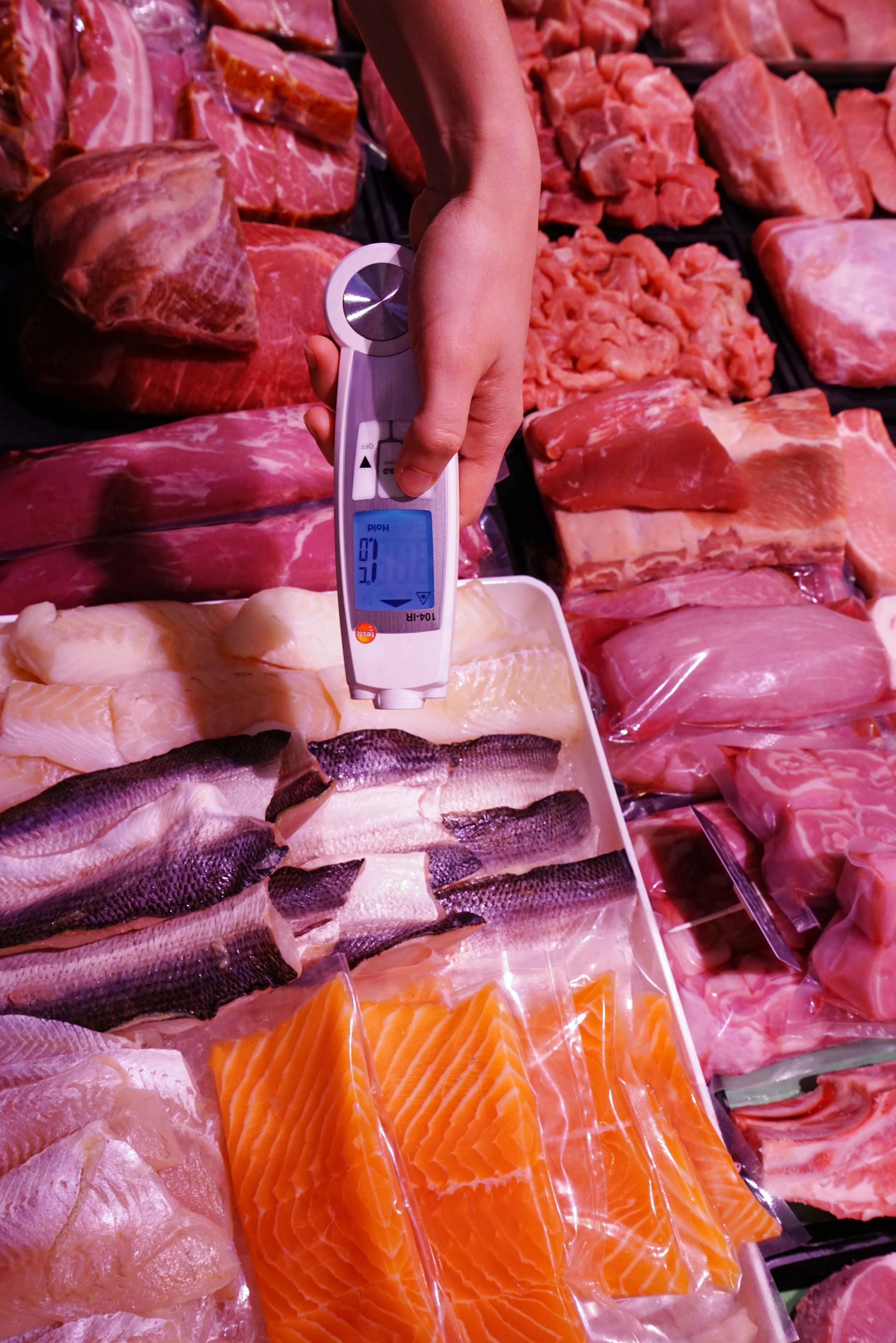 Eine Kontrolle des Labors: Lebensmittelinspektion – Temperaturmessung.