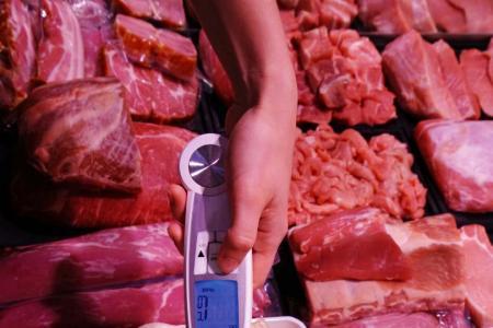 Eine Kontrolle des Labors: Lebensmittelinspektion – Temperaturmessung.