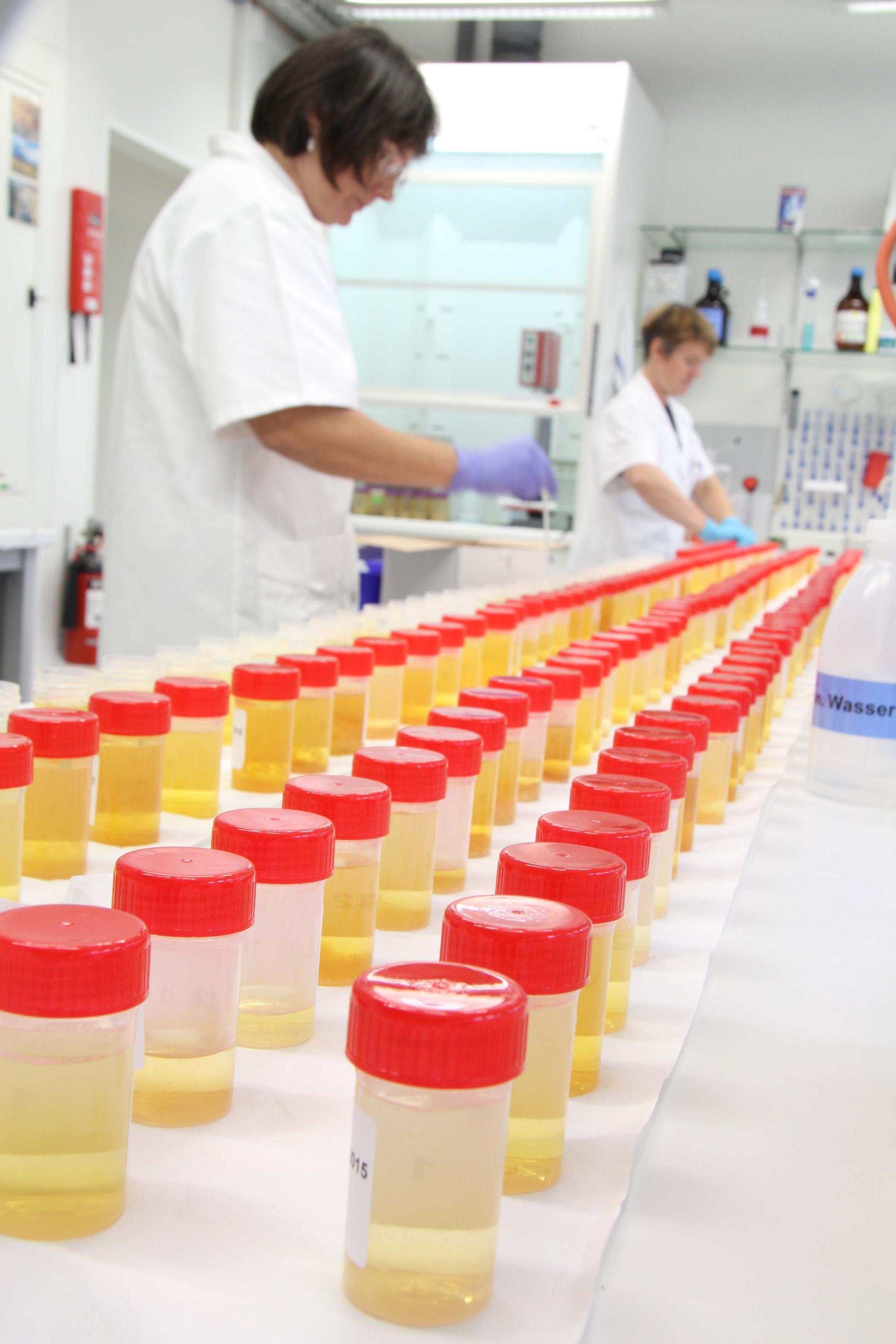 Eine Kontrolle des Labors: Nationales Referenzlabor – Harnanalyse.