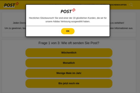  Aufnahme (Screenshot): «Website mit Gewinnanzeige».