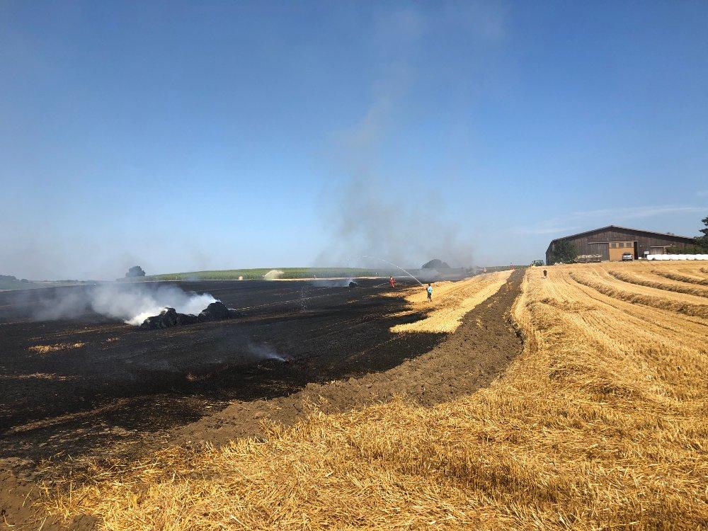 Abgebranntes Getreidefeld