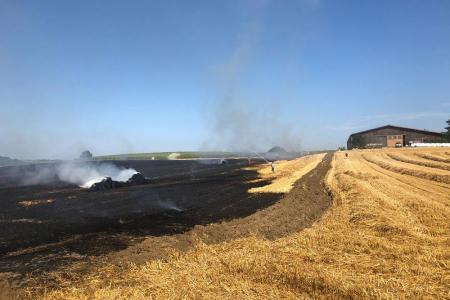 Abgebranntes Getreidefeld