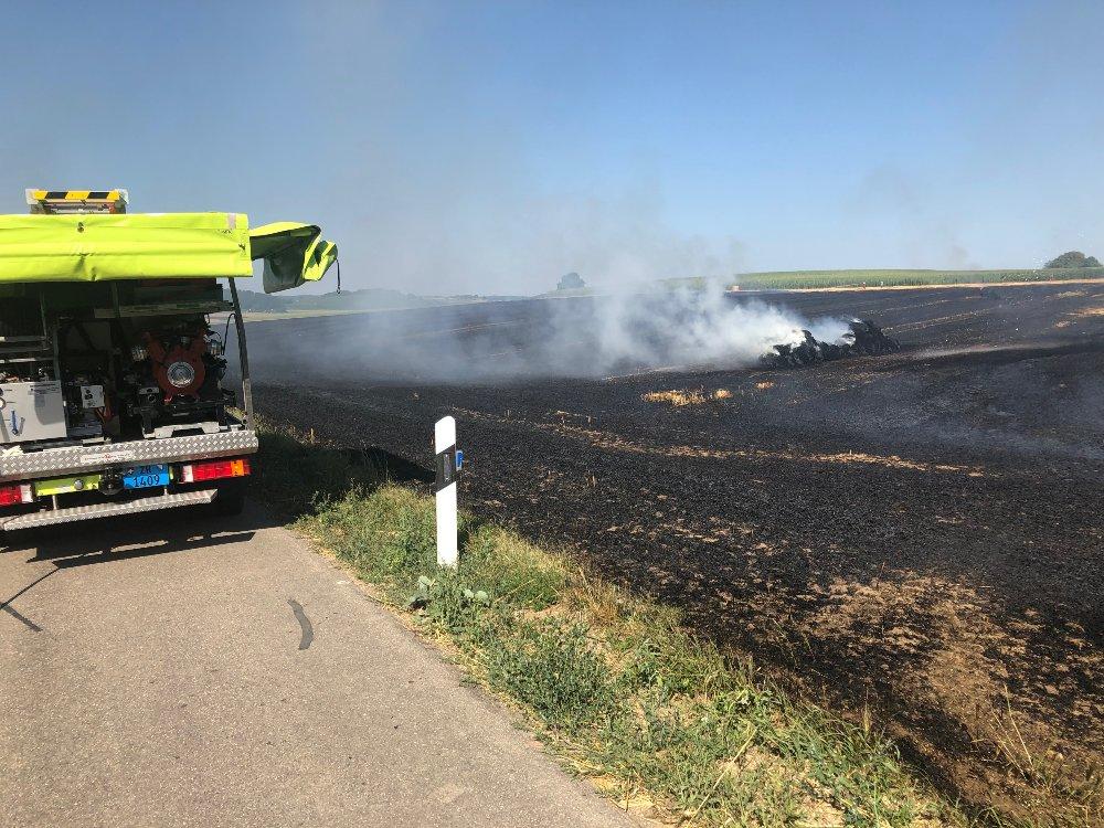 Übersichtsaufnahme: Abgebranntes Getreidefeld.