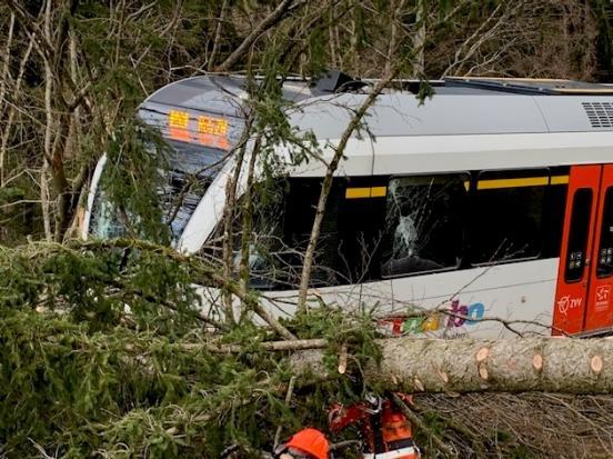 Foto der mit einer Tanne kollidierten S-Bahn