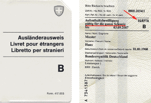 Ausländerausweis  in Papierform