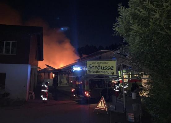 Feuerwehrleute bei der Brandlöschung in einem Gewächshaus