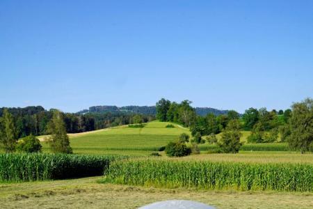 Brunnenstube