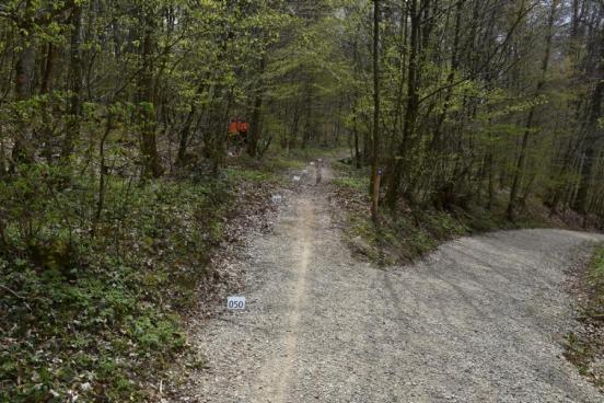 Mountainbike-Unfall