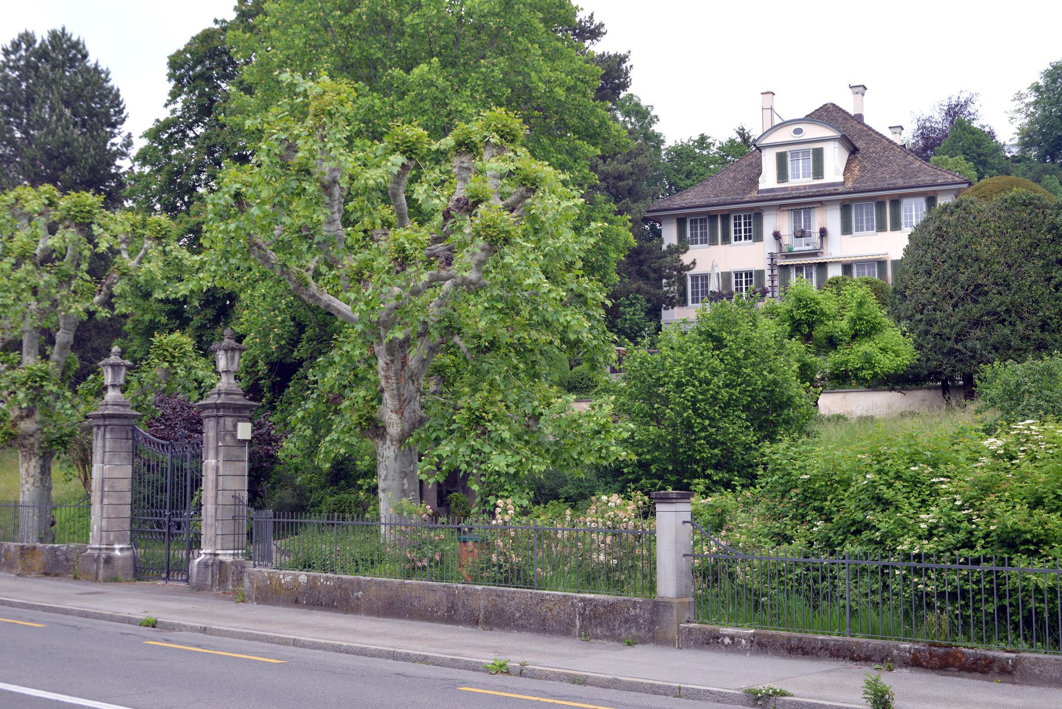 Wohnheim ehemaliges Landhaus «Mariahalde» mit Parkanlage