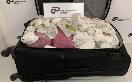 Sichergestelltes Khat in Reisekoffer