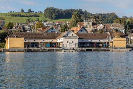 Bretterdadi Wädenswil