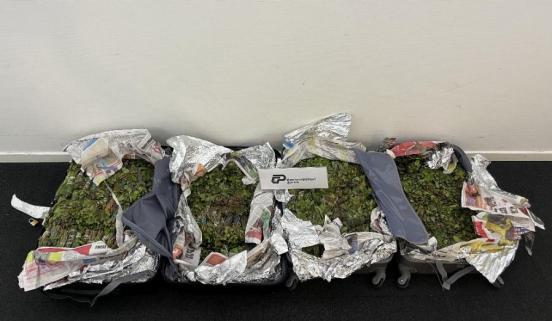 Sichergestelltes Khat