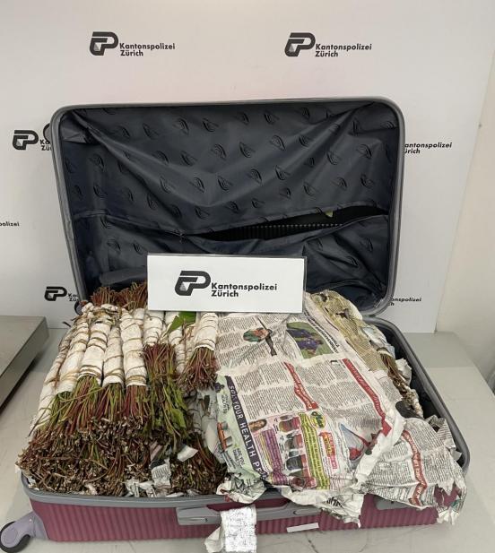 Koffer mit sichergestelltem Khat