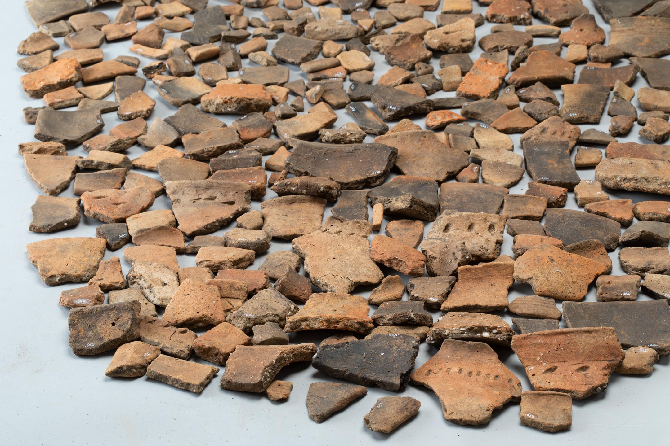 Nur eine kleine Auswahl von mehr als 230'000 Scherben. Weshalb in Marthalen auf 150 m2 ein 15 cm dicker «Scherbenteppich» ausgebreitet wurde, bleibt ein Rätsel