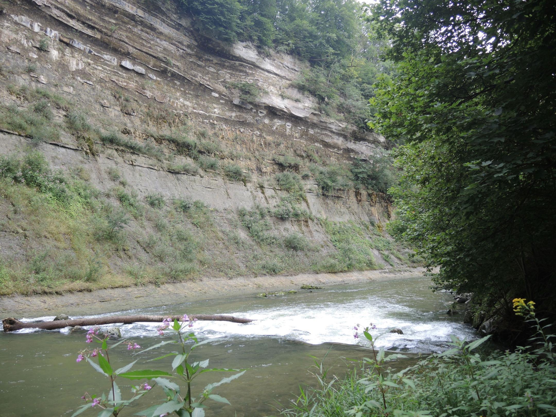 Eindrückliche Flusslandschaft mit Prallhang
