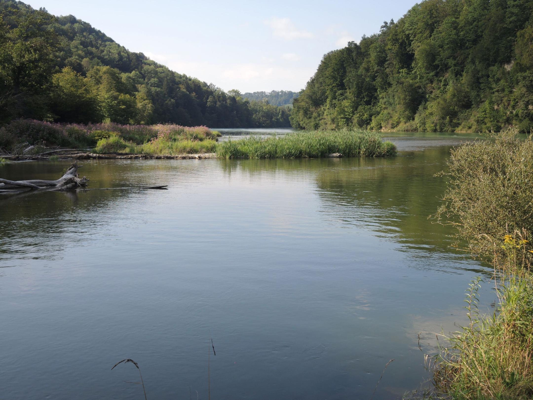 Landschaftlich und ökologisch einmalige Tössmündung