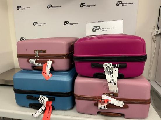 Vier Reisekoffer liegen auf einem Tisch. 