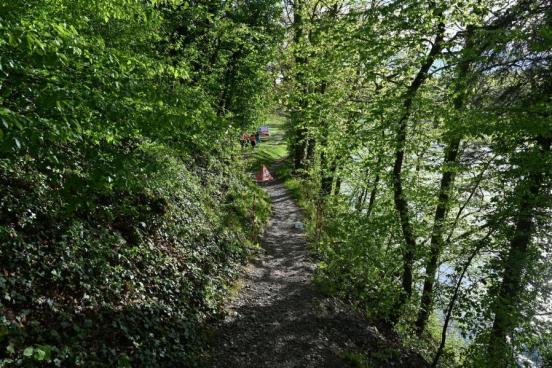 Unfallstelle auf dem Pontonierweg entlang dem Rhein