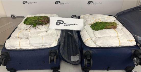 Zwei Rollkoffer, beide gefüllt mit weissen Plastiksäcken, in welchen sich das Khat befindet.