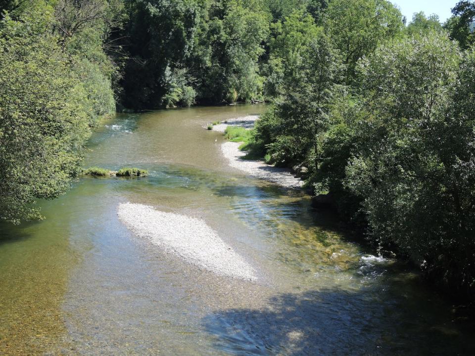 Der Fluss Töss umgeben von Wald