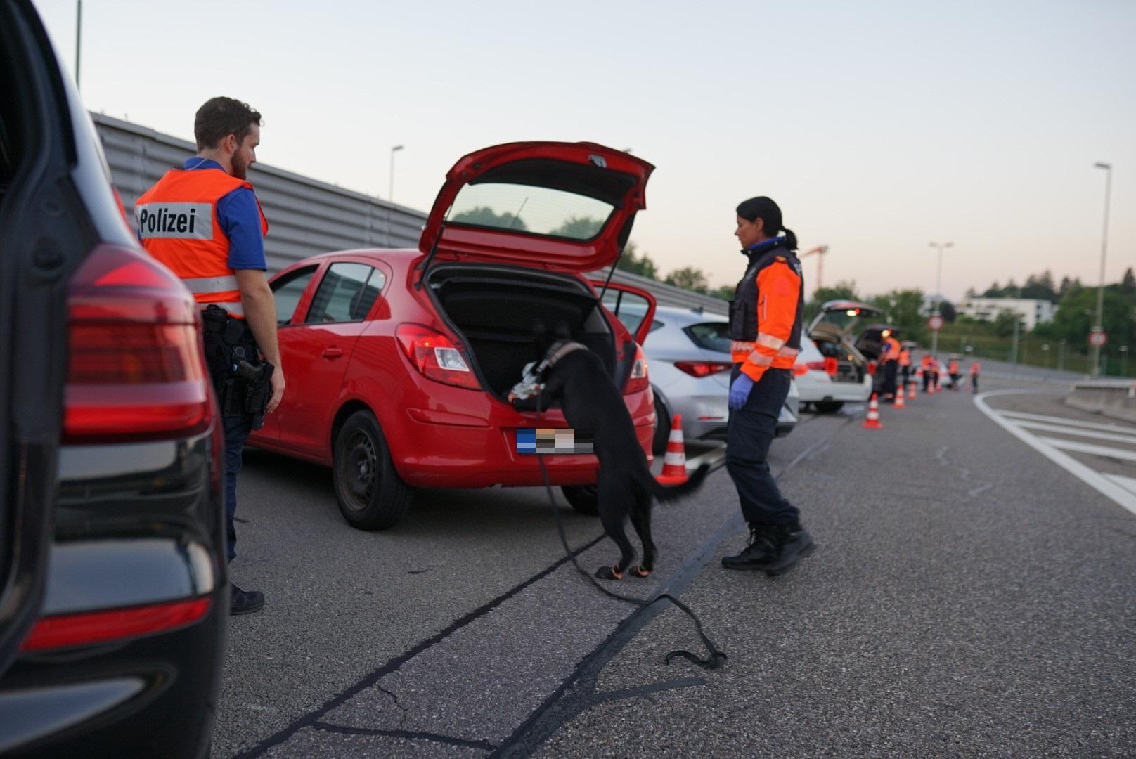 Polizeihund sucht ein Kofferraum eines Autos ab