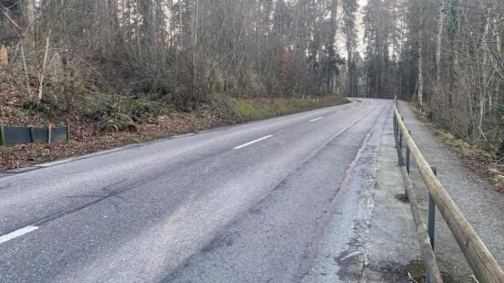 Strasse im Wald mit einer Linkskurve und einem Fussweg auf der rechten Seite, der durch einen Zaun abgetrennt ist.