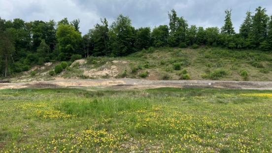Das Bild zeigt eine Magerwiese mit Blumen und ein Moor.