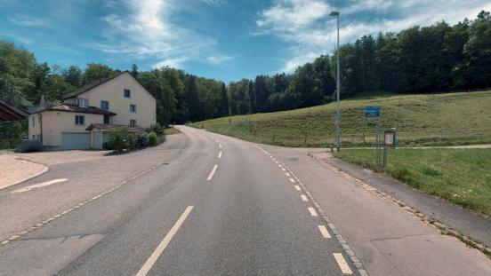 Eine asphaltierte Landstrasse führt bergauf durch eine grüne Landschaft. Links steht ein hellbeiges Haus mit braunem Dach. Rechts, hinter dem Trottoir auf einem Grünstreifen, befinden sich eine Bushaltestelle und eine Strassenlaterne. Die Strasse schlängelt sich durch einen Wald mit üppigem Laubwerk unter einem blauen Himmel mit einigen weissen Wolken.