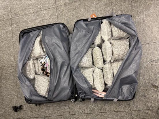 ein offener Koffer gefüllt mit verpacktem Marihuana