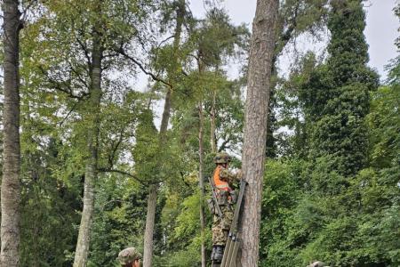 Soldaten beim Betrieb einer Relais-Station in einem Wald.