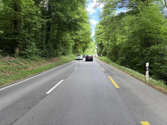 Strassenabschnitt im Waldstück auf welchem sich der Unfall ereignete