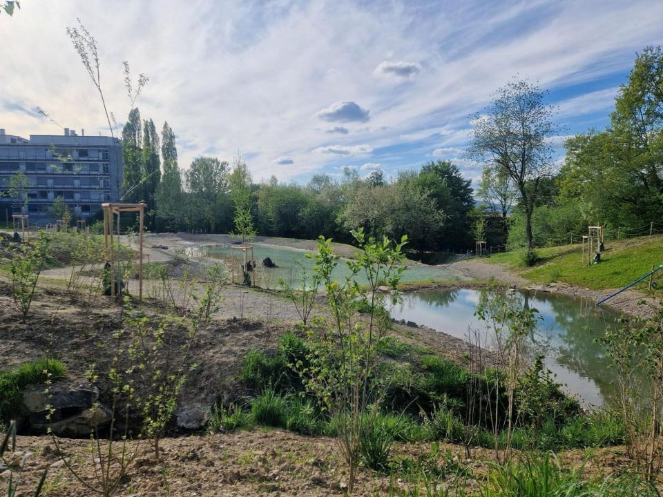 Die Neue Weiheranlage, teilweise schon bepflanzt.