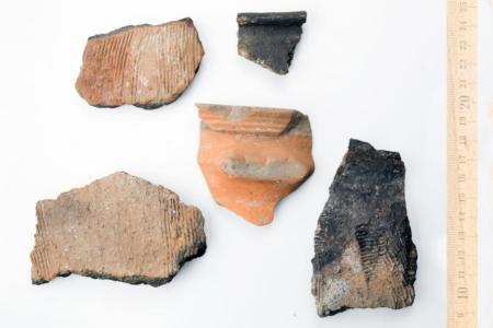 Fünf archäologische Keramikscherben mit unterschiedlichen Mustern und Färbungen auf weissem Hintergrund, rechts ein Holzlineal als Massstab.