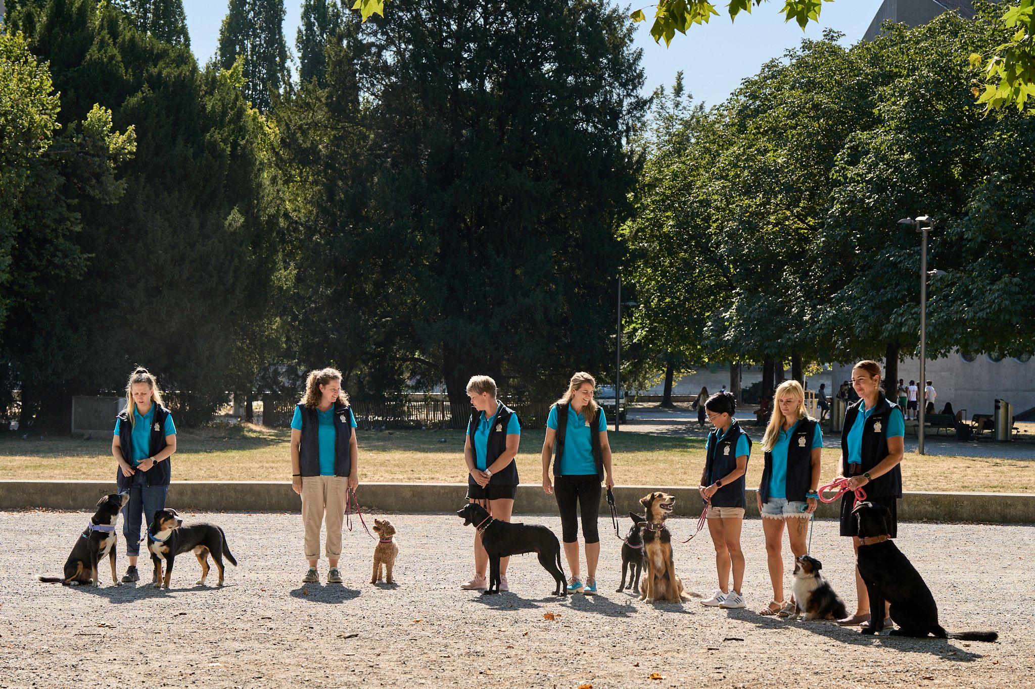 Kampagne «Hunden sicher begegnen»