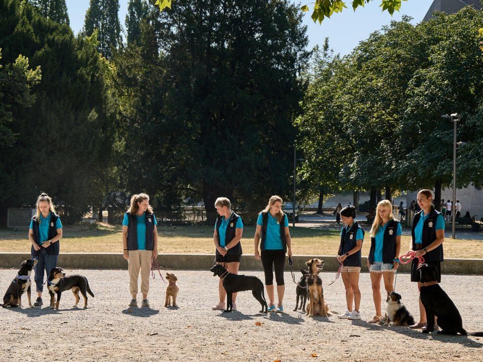 Kampagne «Hunden sicher begegnen»