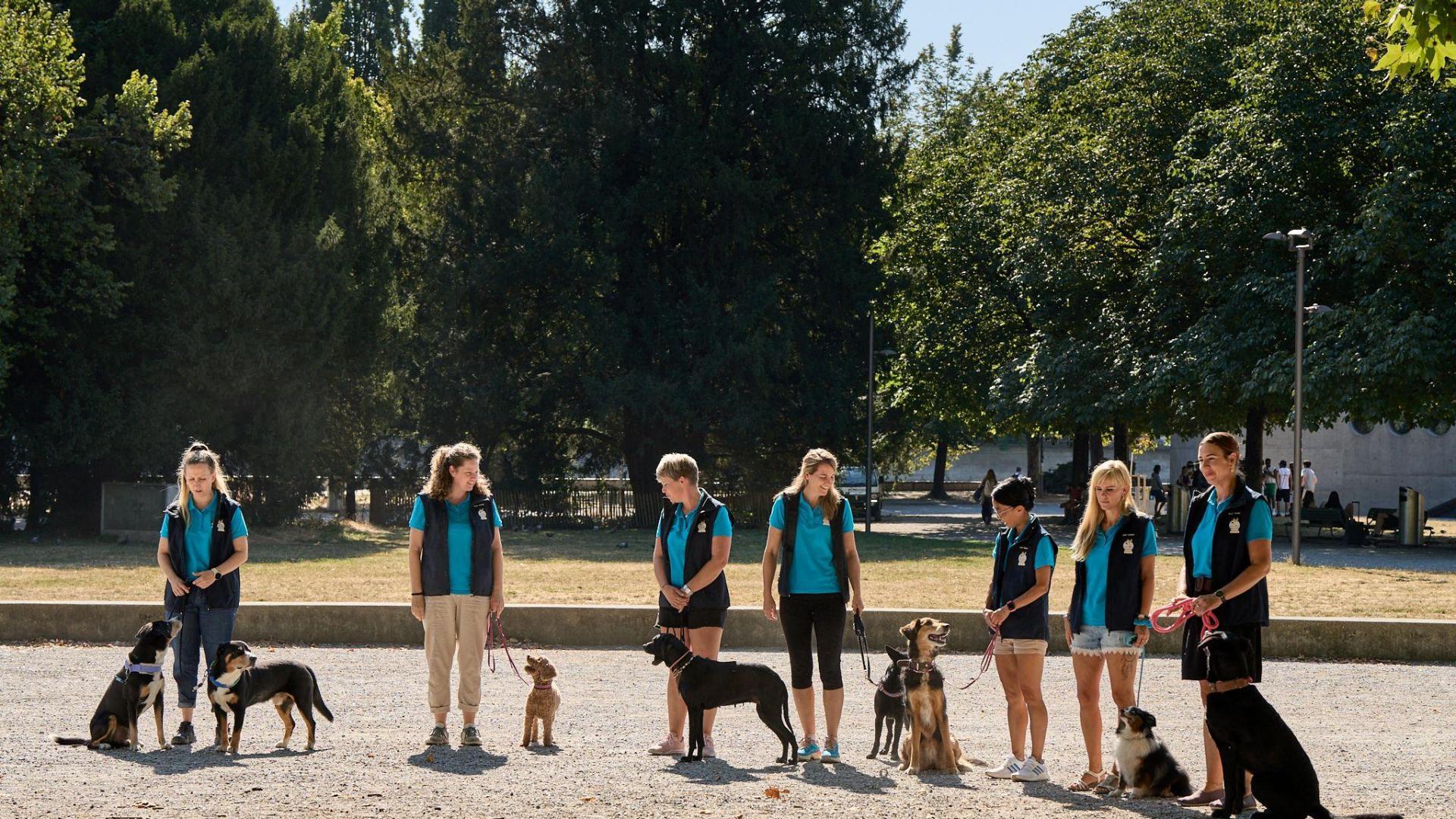 Kampagne «Hunden sicher begegnen»