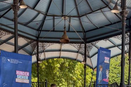Kampagne «Hunden sicher begegnen»