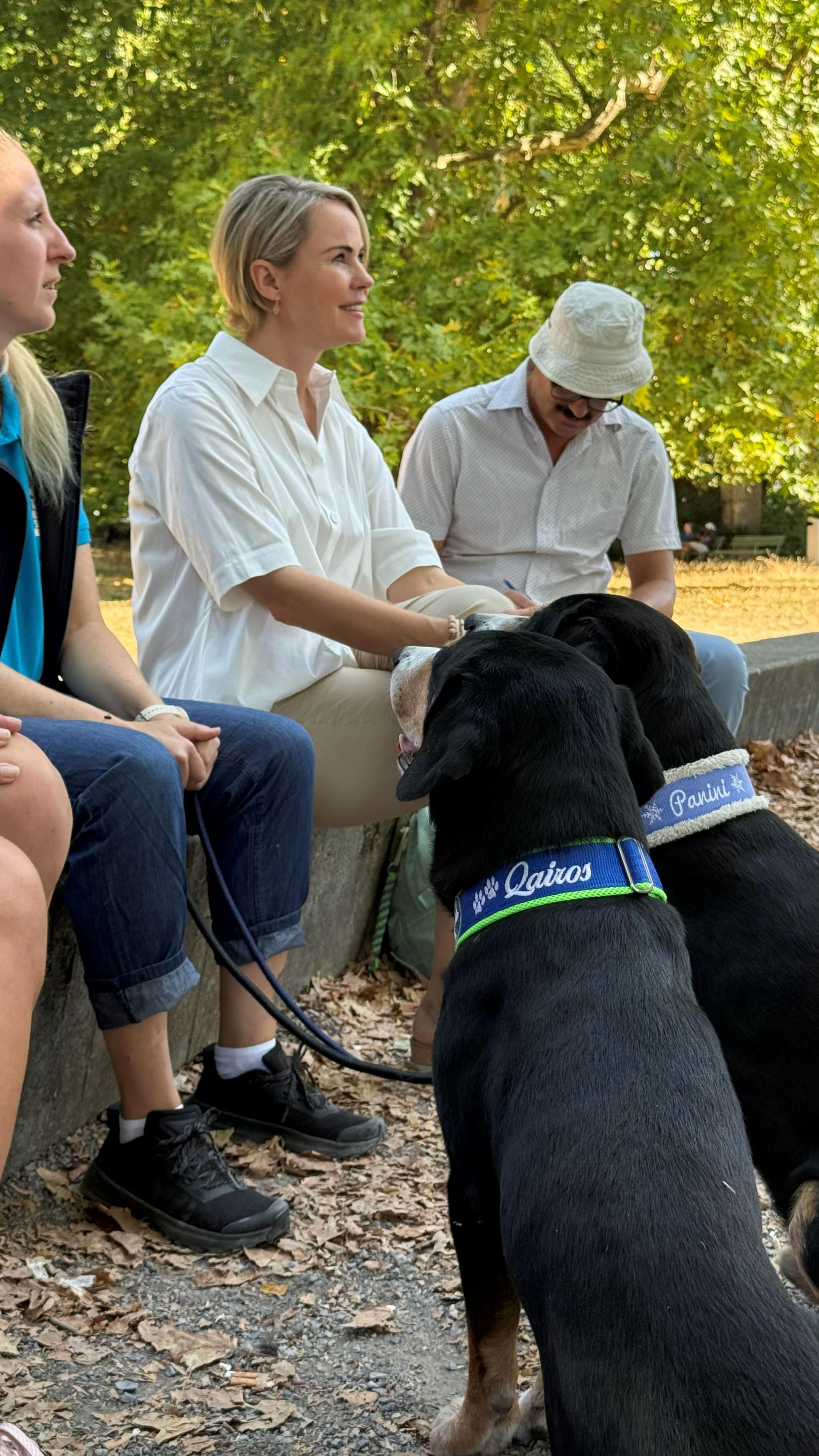 Kampagne «Hunden sicher begegnen»